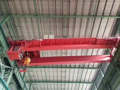 15Ton Furance Charging EOT Cranes