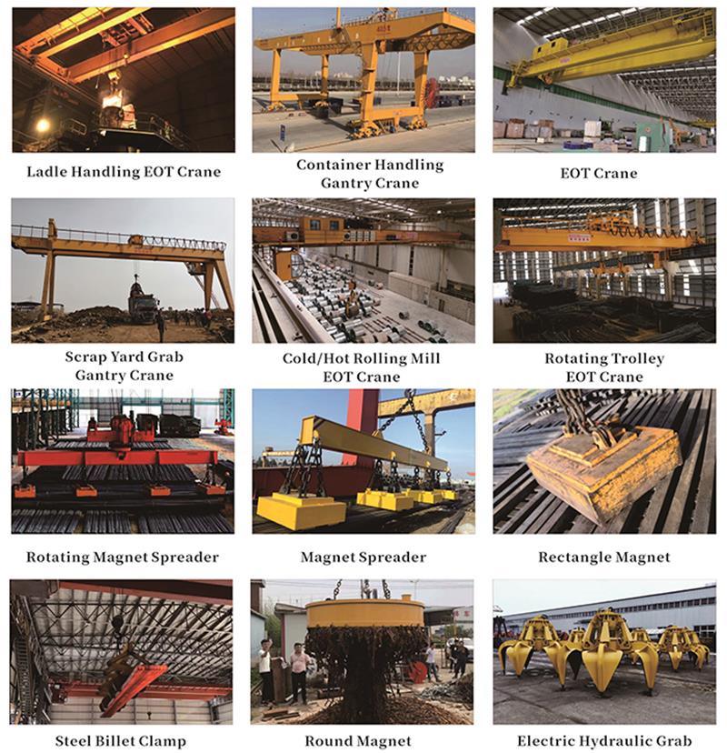 Main series of steel plant crane