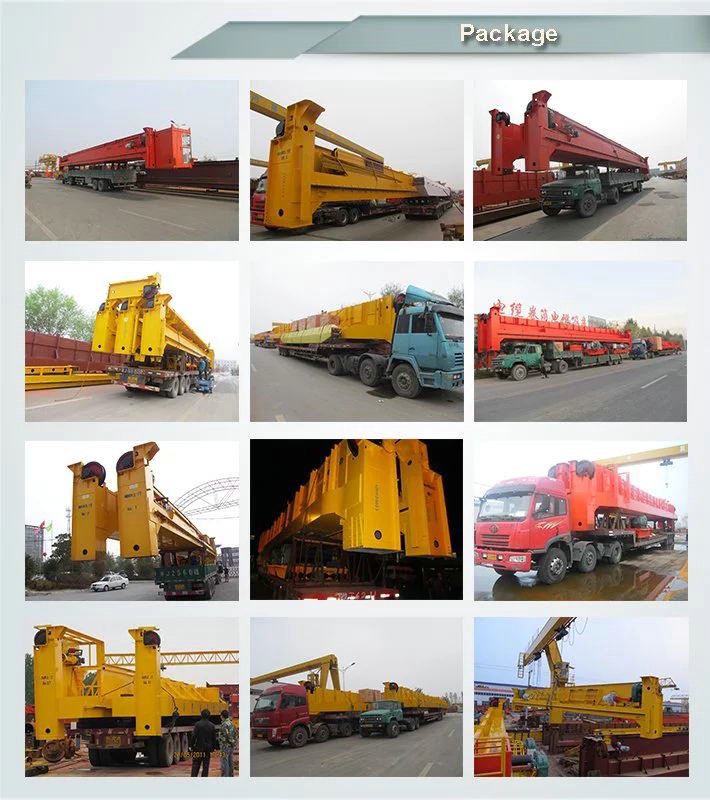 Customized 5 10 Ton European Single Girder Overhead Bridge Crane Price packing