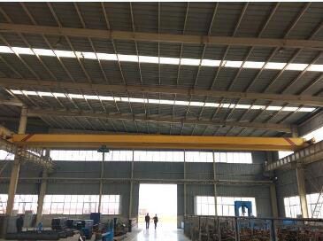 Warehouse Travelling Electric Single Girder Crane with Hoist