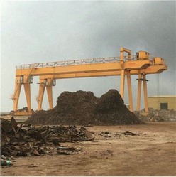 Double Girder Gantry Cranes