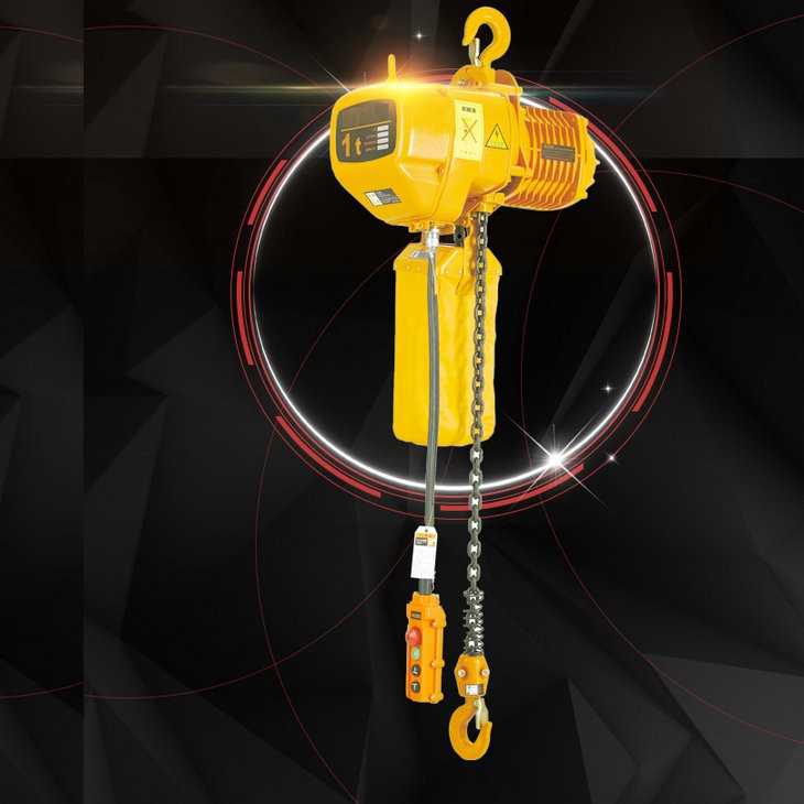 2t FEM Standard Pendent Line Control Electric Chain Hoist