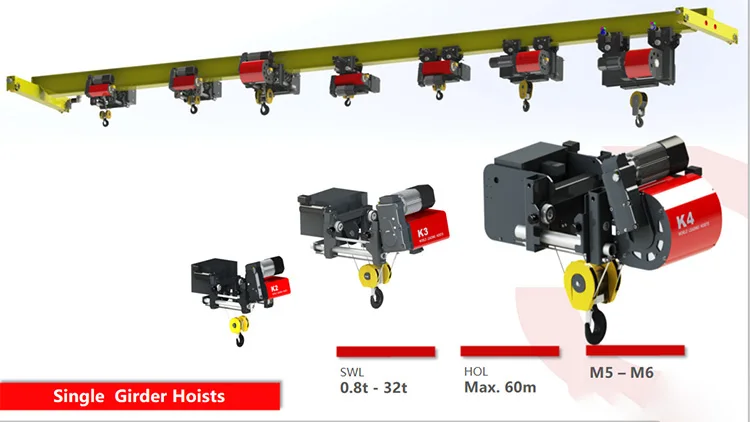 FEM Standard Electric Hoist for Single Girder Crane